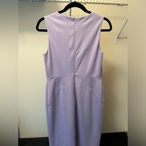 The Limited Size 2 Purple Women’s Dress